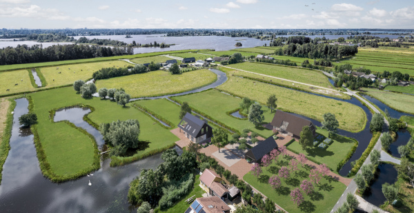 Nieuw