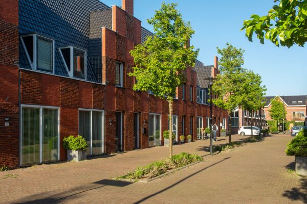 Nieuw