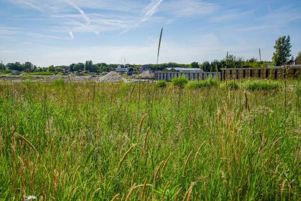 Afbeelding Kavels Achter de Duinen