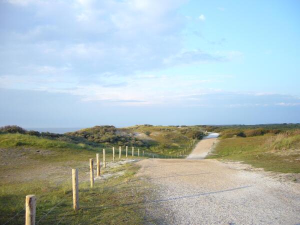 Afbeelding Kavels Achter de Duinen