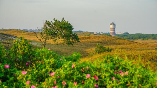 Afbeelding Kavels Achter de Duinen
