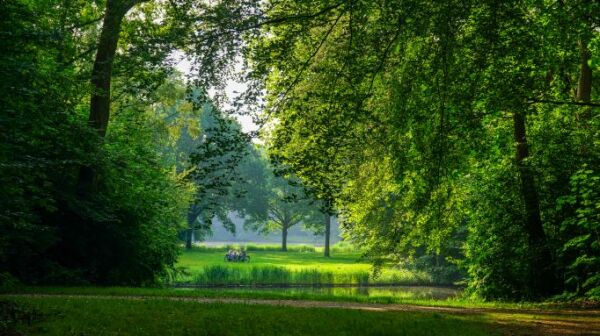 Afbeelding Kavels Achter de Duinen