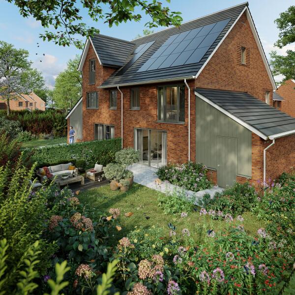 Afbeelding Grasbuurt fase 3