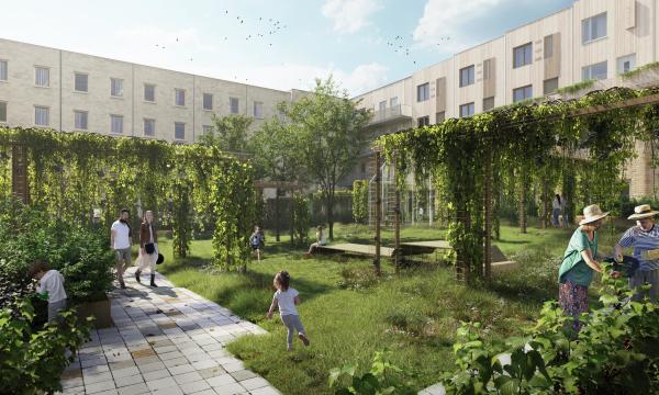 Afbeelding New Roots | fase 2 te Utrecht