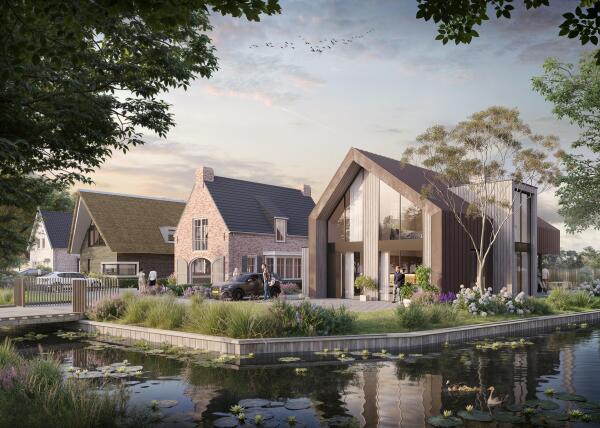 Afbeelding De Zilverreiger
