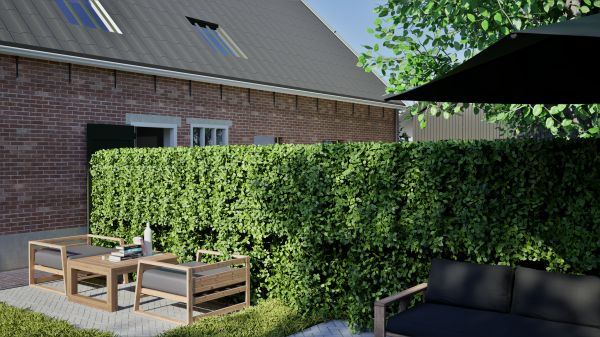 Afbeelding Buitenplaats Hooghstede