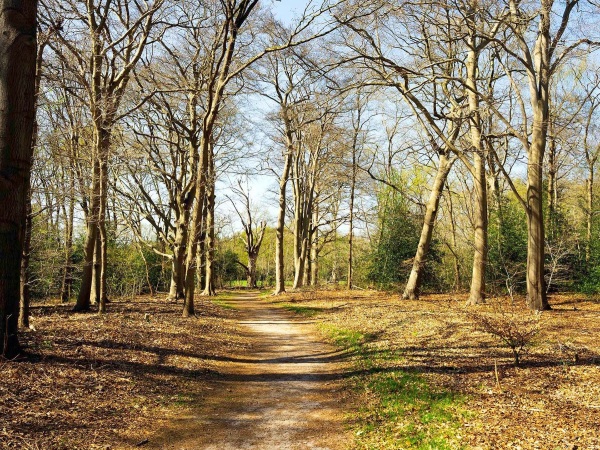 Afbeelding Vuursche Hof