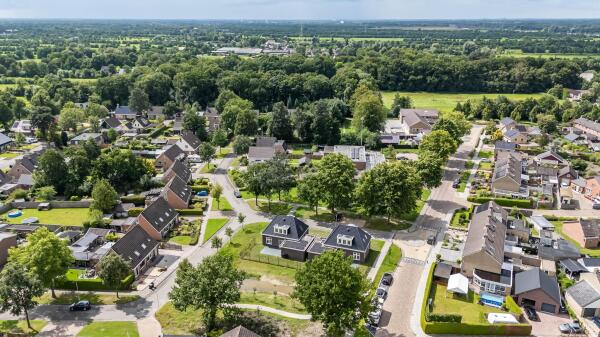 Afbeelding Boskkamp