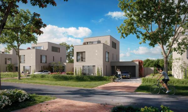 Afbeelding Op de Roeibaan