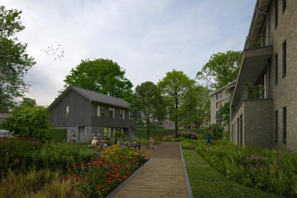 Afbeelding Hoendersveld