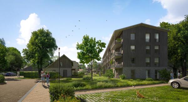 Afbeelding Hoendersveld