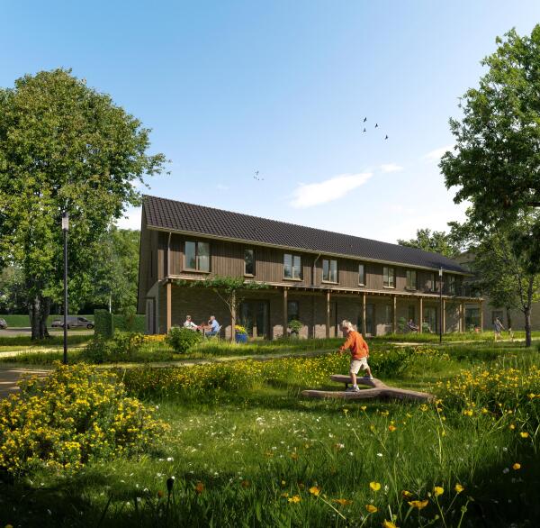 Afbeelding Hoendersveld