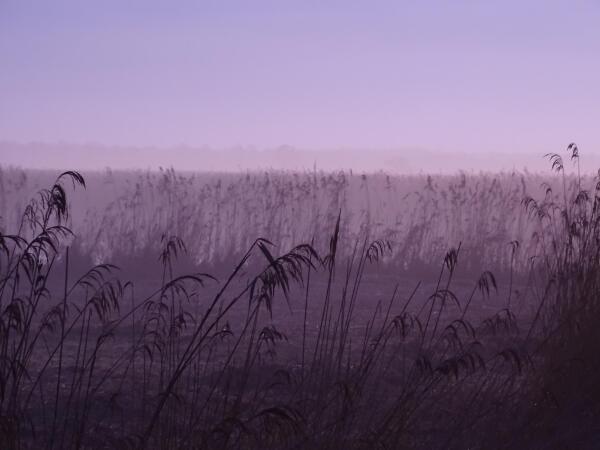 Afbeelding Voorweg 64a Noorden
