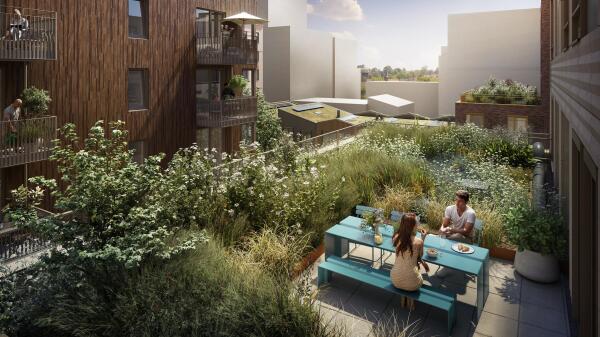 Afbeelding Ludens Joy