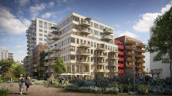 Hoofdafbeelding Ludens Joy