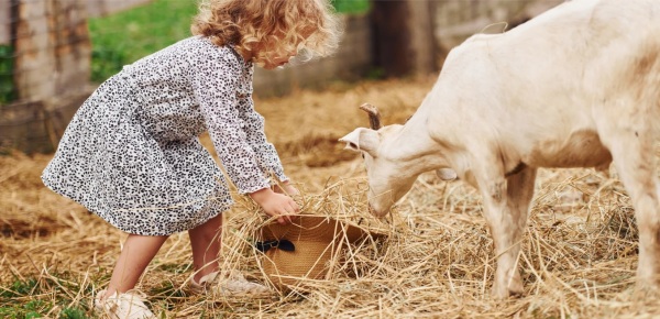 Afbeelding Park Arsenaal