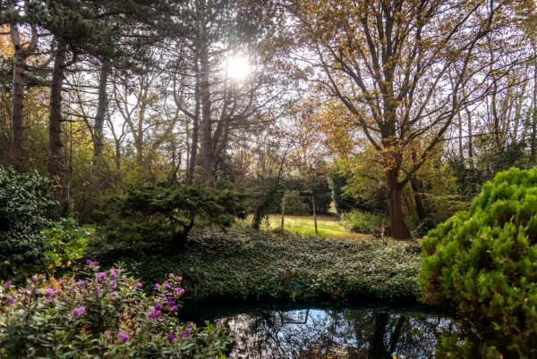 Hoofdafbeelding Almondehoeve