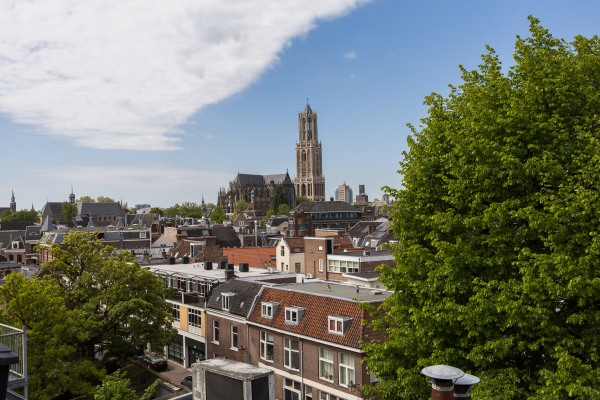 Afbeelding De 6 van Lucas Bolwerk