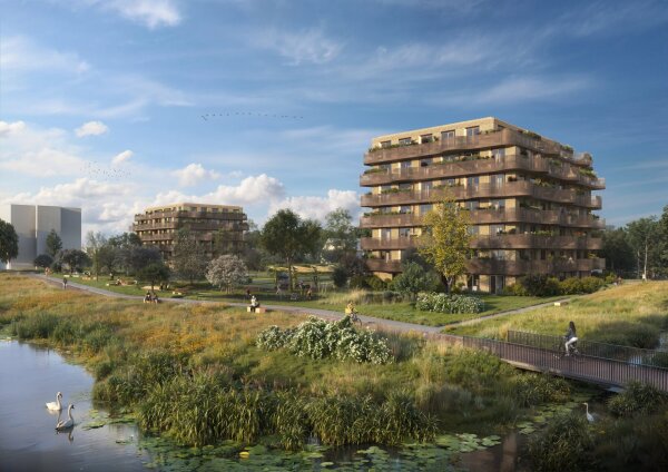 Hoofdafbeelding Terrazza