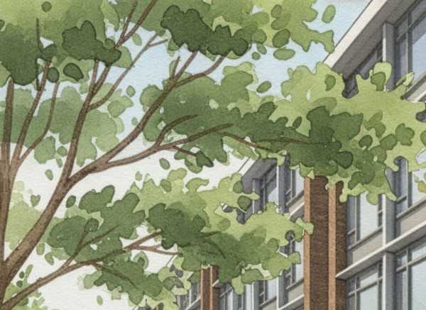 Afbeelding Nieuw Mosveen