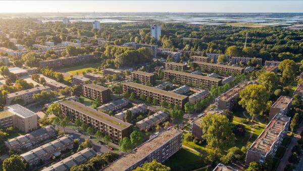 Afbeelding Nieuw Mosveen