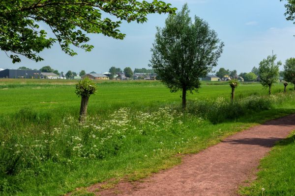 Afbeelding Heren van Noord