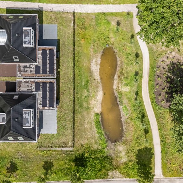 Nieuwbouwproject Boskkamp in Augustinusga