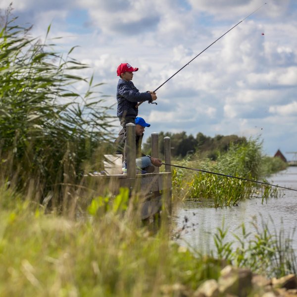 Nieuwbouwproject Meerstad in Meerstad